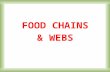 FOOD CHAINS & WEBS
