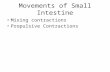 Movements of Small Intestine