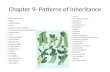 Chapter 9- Patterns of Inheritance