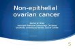 Non-epithelial  ovarian cancer