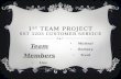 1 st  Team Project SST 3203 Customer Service