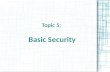 Topic 5:  Basic Security