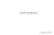 Limb Anatomy