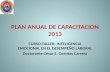 PLAN ANUAL DE CAPACITACION 2013