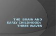 The  brain and early childhood:  Three waves