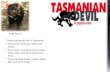FUN FACTS  Tasmanian devils live in Tasmania. Tasmanian devils are black and white.