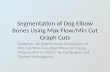 Segmentation of Dog Elbow Bones Using Max Flow/Min Cut Graph Cuts
