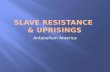 Slave Resistance  & Uprisings