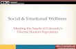 Social & Emotional Wellness