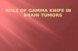 ROLE OF GAMMA KNIFE IN       BRAIN TUMORS