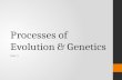 Processes of Evolution & Genetics