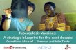 Tuberculosis Vaccines:  A strategic blueprint for the next decade