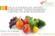 VSLA  A FINANCIAL  MODEL FOR SHORT TERM WORKING CAPITAL IN AGRI-BUSINESS