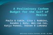A Preliminary Carbon Budget for the Gulf of Mexico