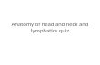 Anatomy of head and neck and  lymphatics  quiz