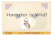 Hamster is Wild!