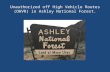 Unauthorized off High Vehicle Routes (OHVR) in Ashley National Forest.