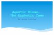 Aquatic Biome-  The Euphotic Zone