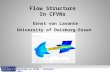 Flow Structure In CFVNs