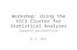 Workshop: Using the VIC3 Cluster for Statistical Analyses