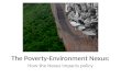 The Poverty-Environment Nexus: