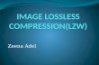IMAGE LOSSLESS COMPRESSION(LZW)