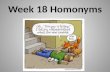 Week 18 Homonyms