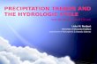 Precipitation trends and the hydrologic cycle