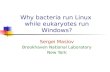 Why bacteria run Linux  while eukaryotes  run Windows?