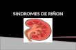 SINDROMES DE RIÑON