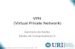 VPN  (Virtual Private Network)