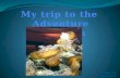 My trip to the  Adventure Aquarium