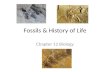 Fossils & History  of Life