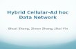 Hybrid Cellular-Ad hoc Data Network