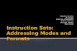Instruction Sets: Addressing Modes and Formats