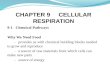 CHAPTER 9     CELLULAR RESPIRATION