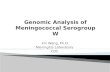Genomic Analysis of Meningococcal  Serogroup  W