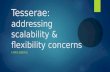 Tesserae:  addressing scalability & flexibility concerns