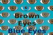 Brown Eyes Blue Eyes & CRT