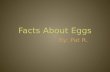 Facts About Eggs
