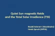 Quiet Sun magnetic fields and the Total Solar Irradience (TSI)