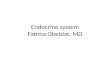 Endocrine system Fatima  Obeidat , MD
