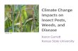 Climate Change Impacts on  Insect Pests , Weeds, and Disease