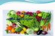 Nutrients  and Immune  system