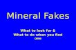 Mineral Fakes