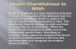 Shukr : Thankfulness to Allah