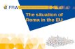 The situation  of  Roma in  the EU