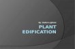 Plant Edification