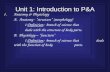 Unit 1: Introduction to P&A