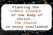 Planting the  “SIMPLE ESSENCE”  of the  Body of Christ... The  Church